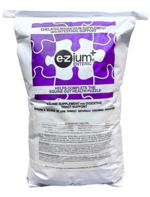 EZium+ Enteric 4 Month Supply